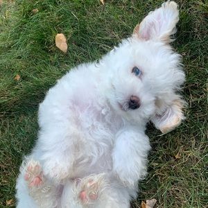 Meet your Posher, Kelly